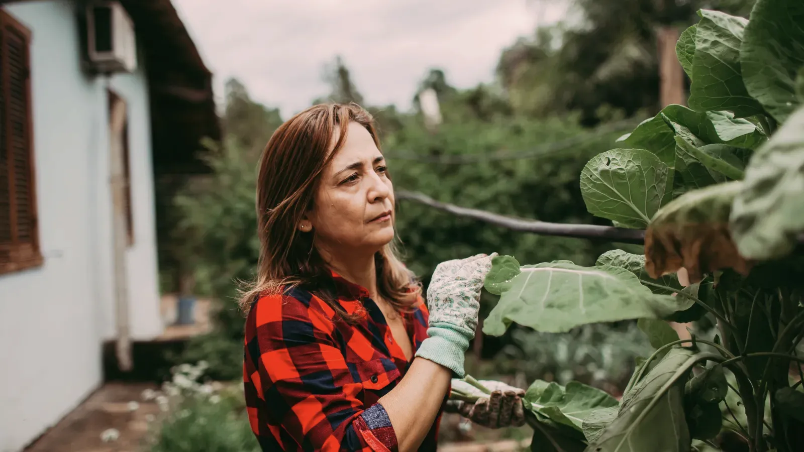 A woman tending plants in a garden beside a house.